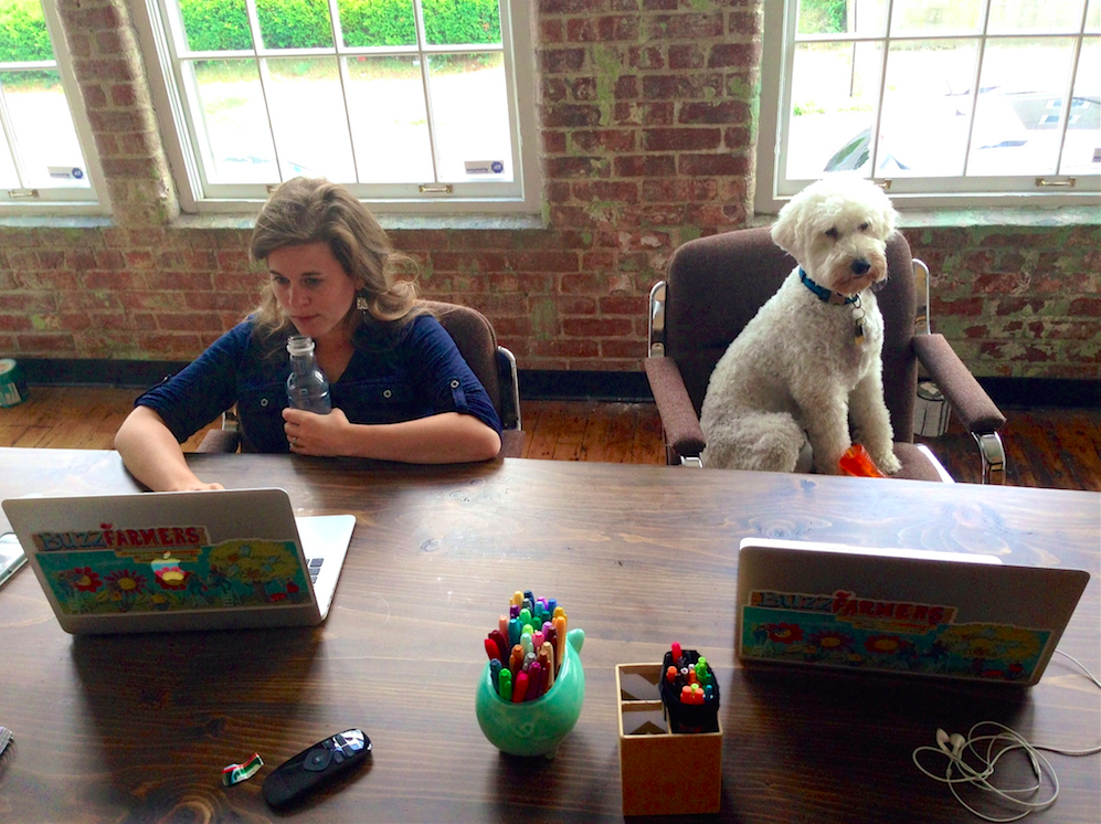 Calling All Office Dogs – and Their Humans!